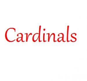 Seeing cardinals throughout my life.