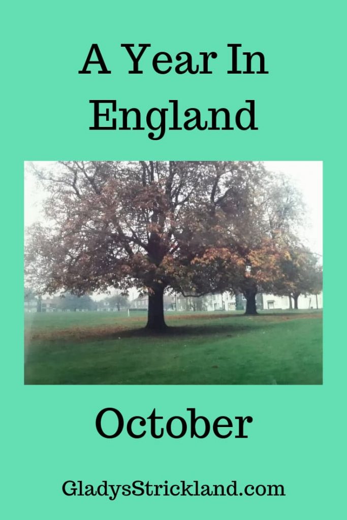 A Year in England October with tree on village green in Cranswick, East Yorkshire, England