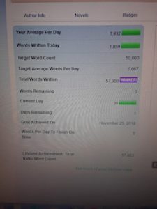 NaNoWriMo results 50,000 words written by November 25th